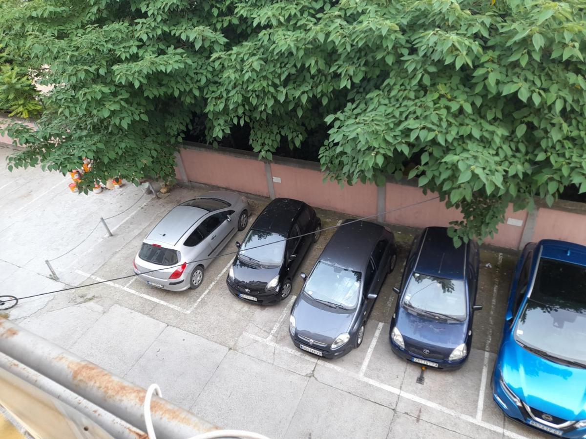 Nikola Ns Apartment Нови Сад Екстериор снимка