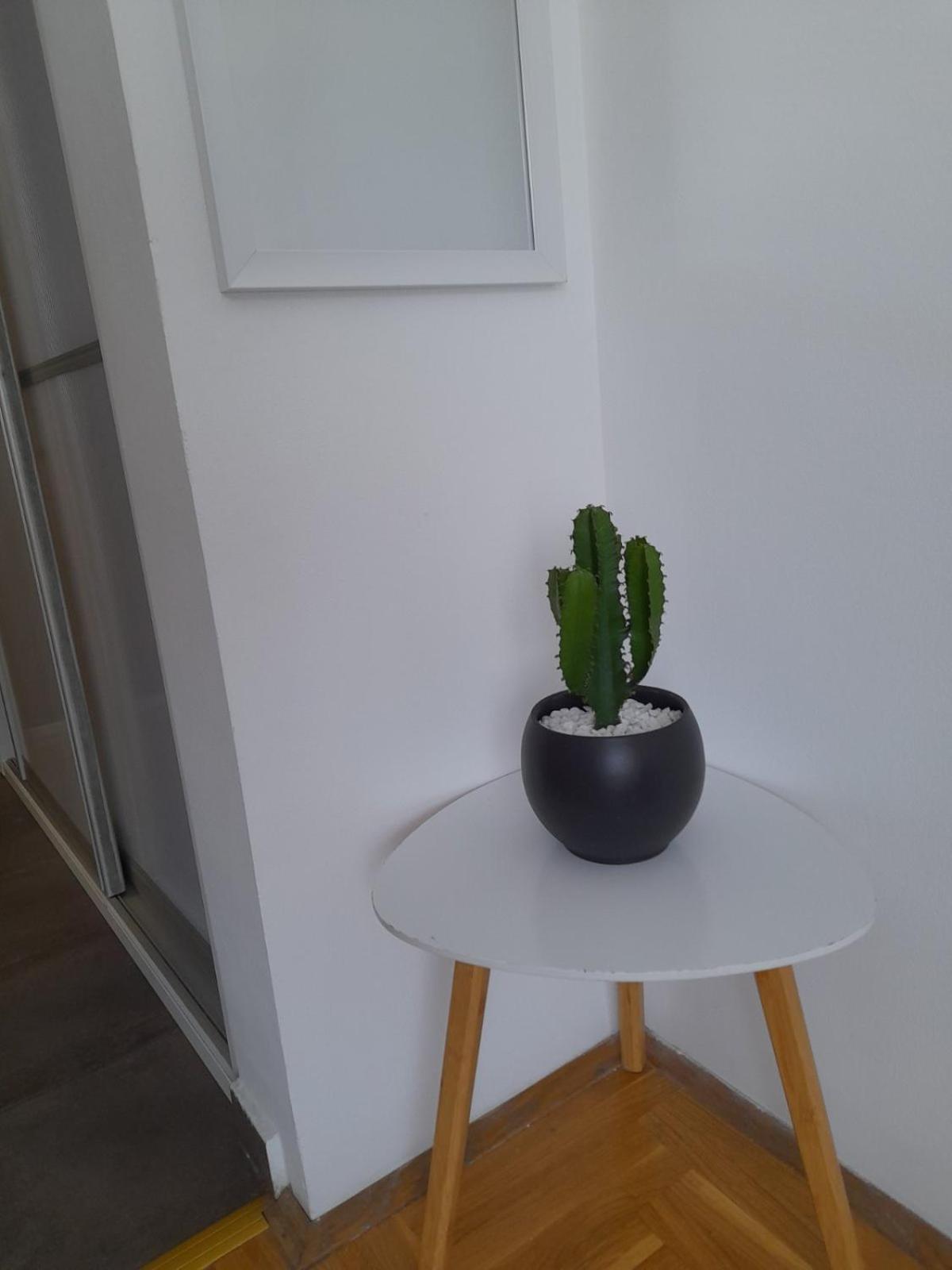 Nikola Ns Apartment Нови Сад Екстериор снимка