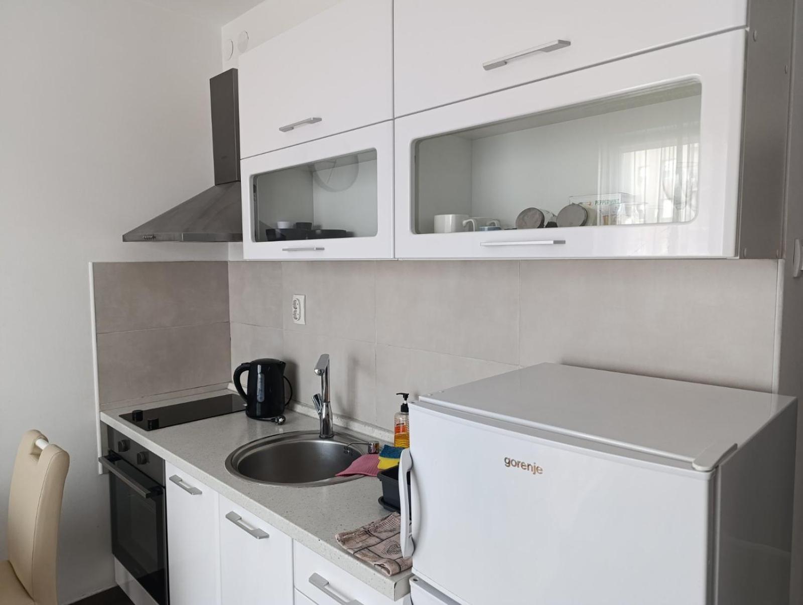 Nikola Ns Apartment Нови Сад Екстериор снимка