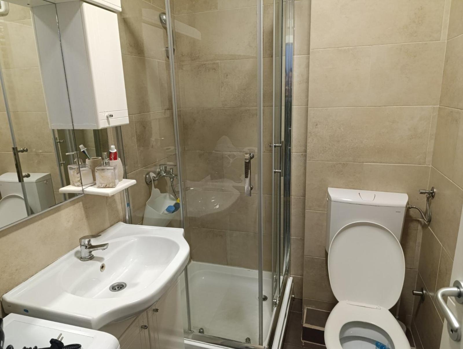 Nikola Ns Apartment Нови Сад Екстериор снимка